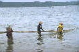 Pesca