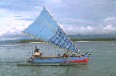 Pesca